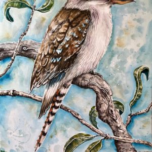 Kookaburra Painting Photo